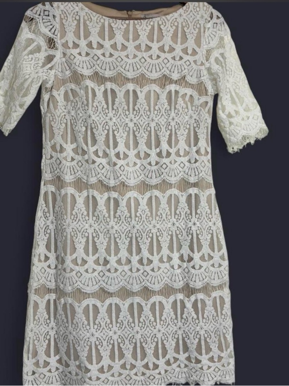 White Lace Overlay Sheath Dress
